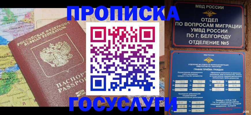 прописка регистрация в Тогучине